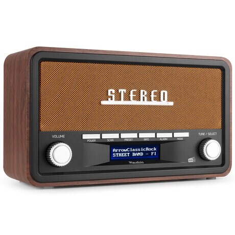 Radio DAB Audizio Foggia Bluetooth och alarm Audizio Foggia retro DAB+ radio med Bluetooth - Bärbar stereoradio med larm - 50W Peak effekt