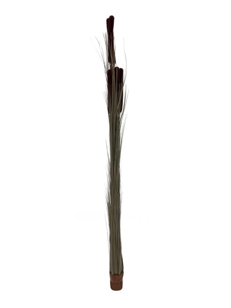 EUROPALMS Reed grass cattails, dark-brown, artificial, 152cm, Europalms Vass gräs cattails, mörkbrun, 152cm