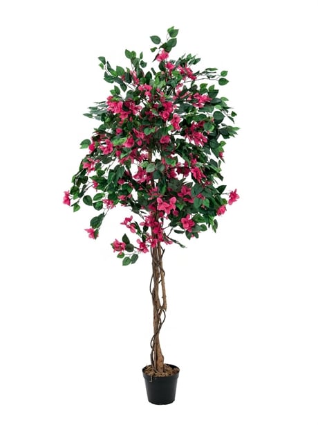 Europalms Bougainvillea, magenta, 180cm EUROPALMS Bougainvillea, artificial plant, pink, 180cm