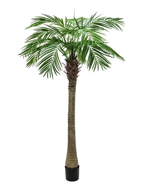 Konstgjord palm Europalms Fenix palm Lyx, 300cm EUROPALMS Phoenix Palm Tree Luxor, artificial plant, 300cm