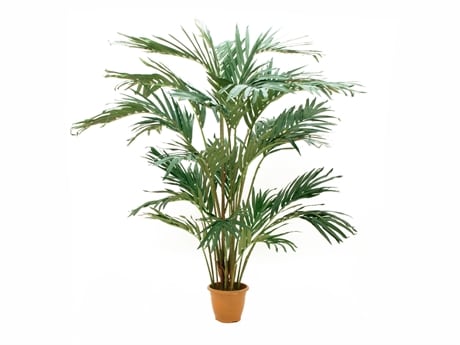 Konstgjord Kanarie dadelpalm med flamskyddsmedel EUROPALMS Canary date Palm, artificial plant, 240cm