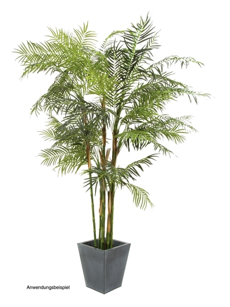 Europalms Cycus rör palm, 280cm EUROPALMS Cycas Palm, artificial plant, 280cm