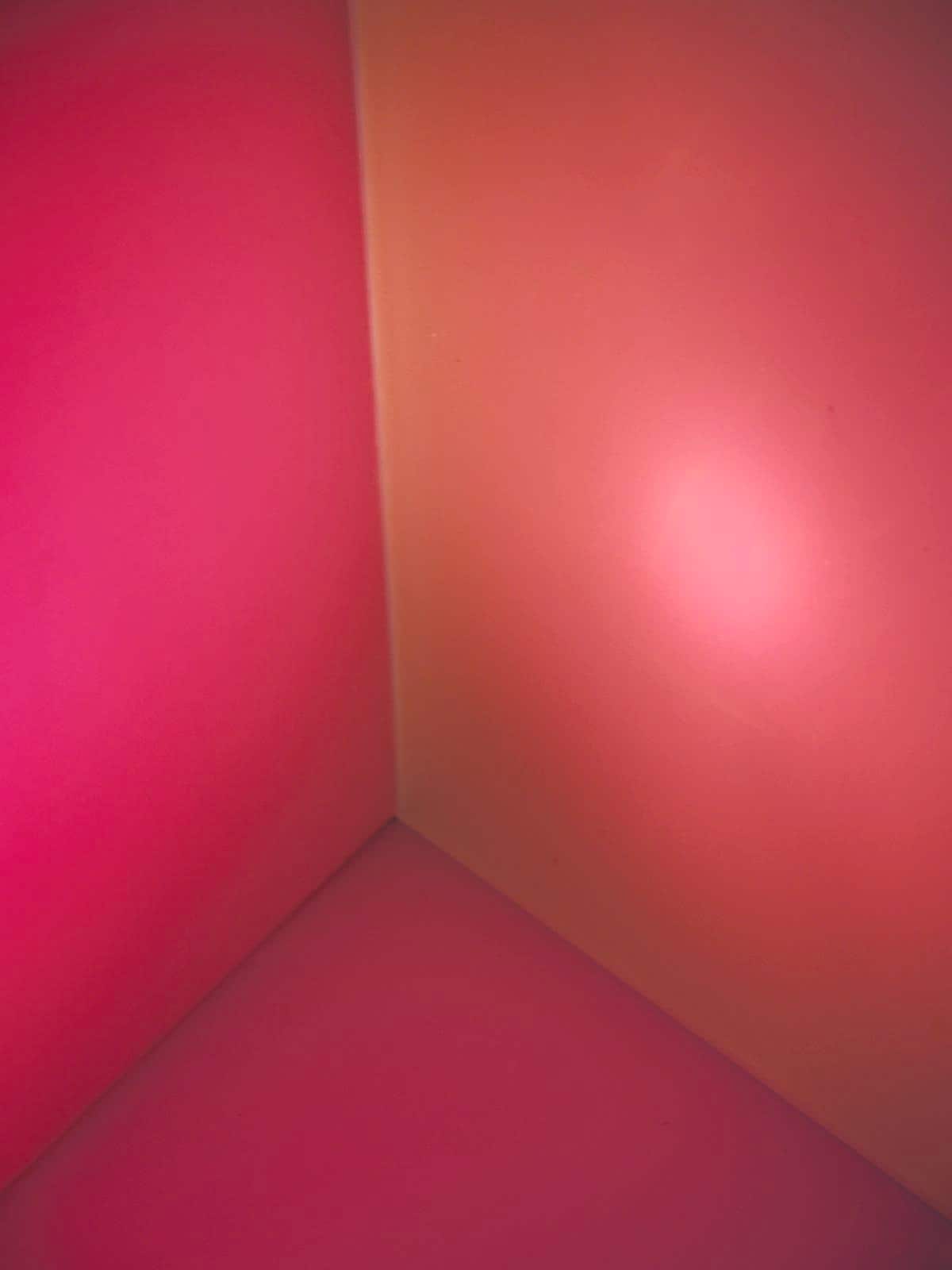 41906655_a