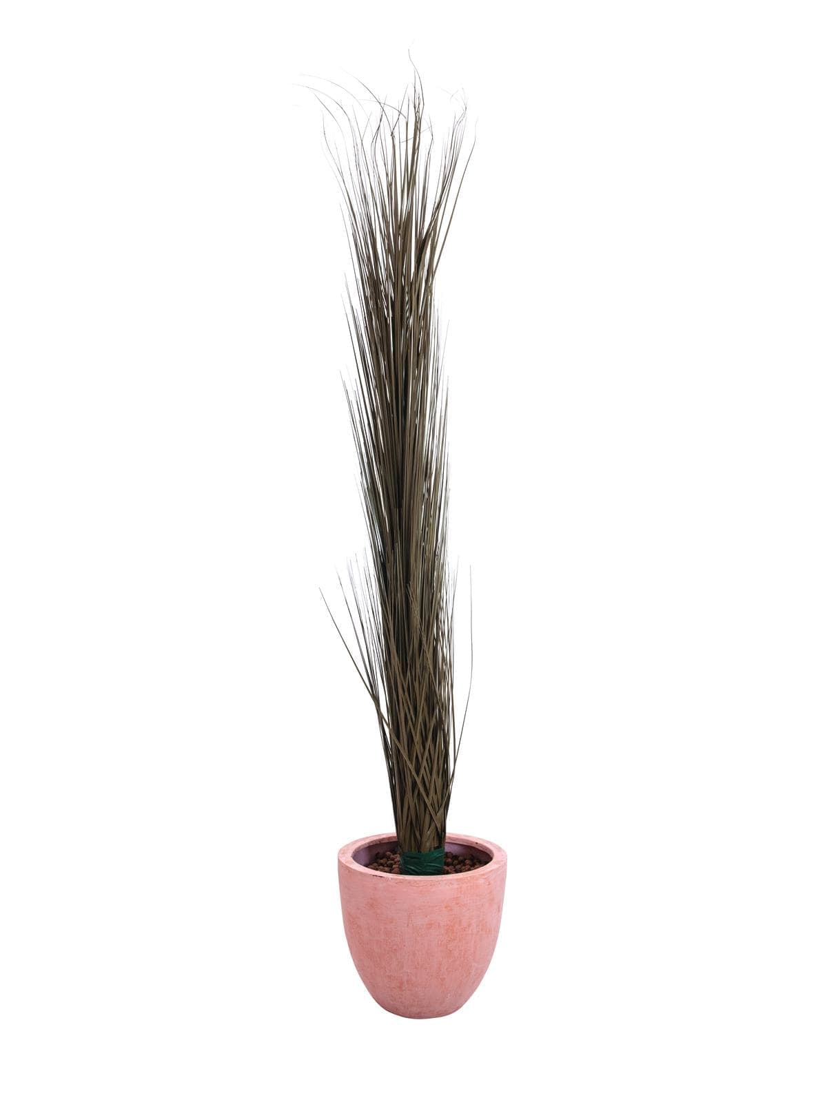 EUROPALMS Reed grass, khaki, artificial,  127cm