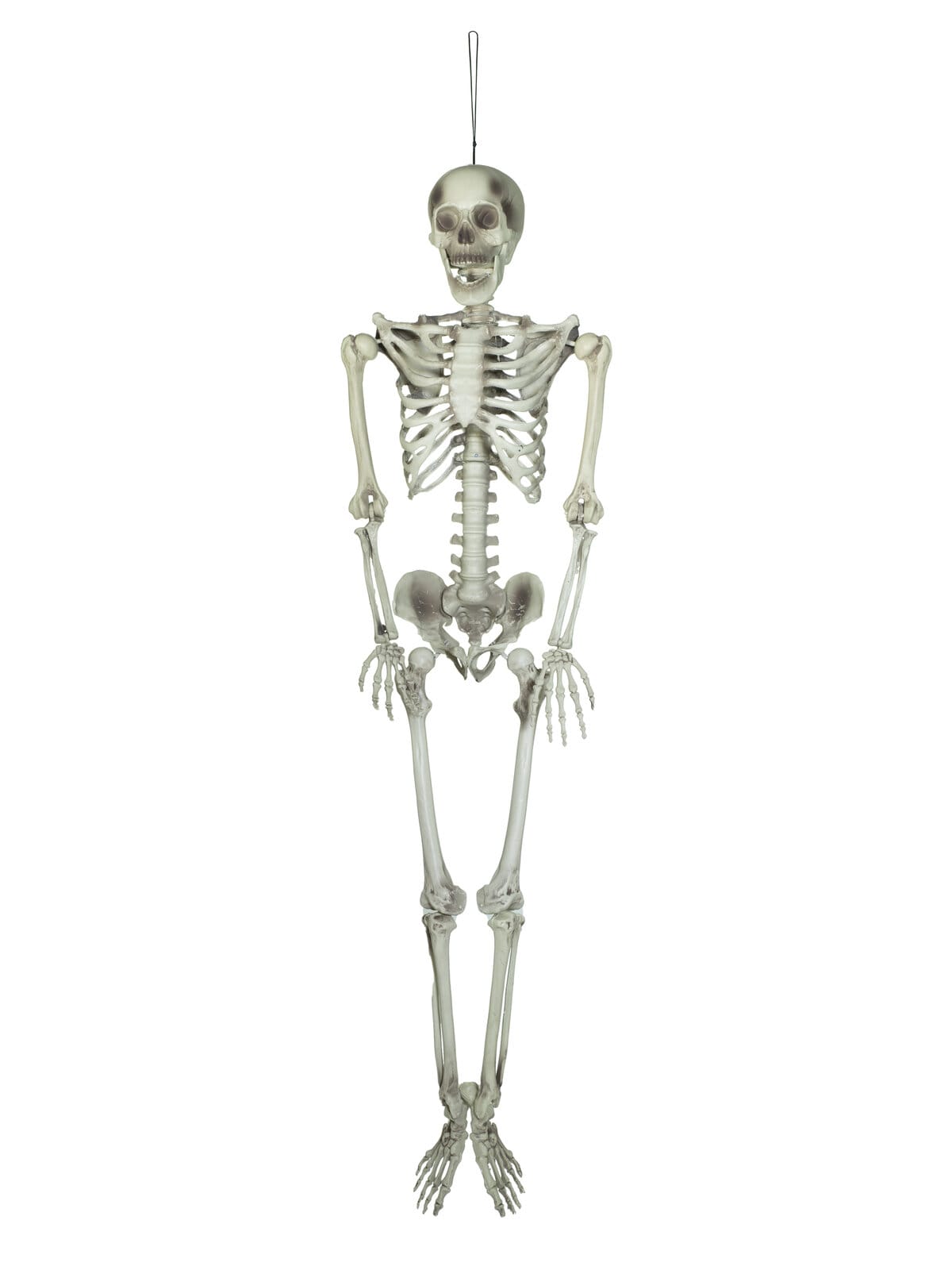 EUROPALMS Halloween Skeleton, 150 cm