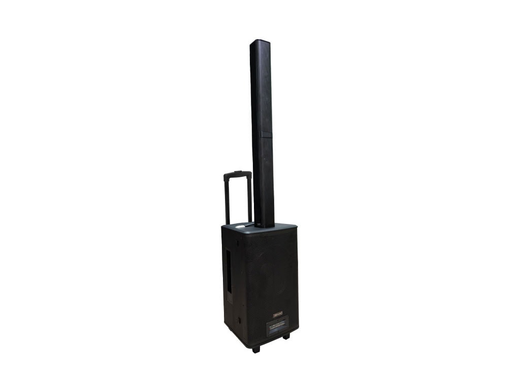 SET COMBO 1000 BAT LineArray 50BGM002